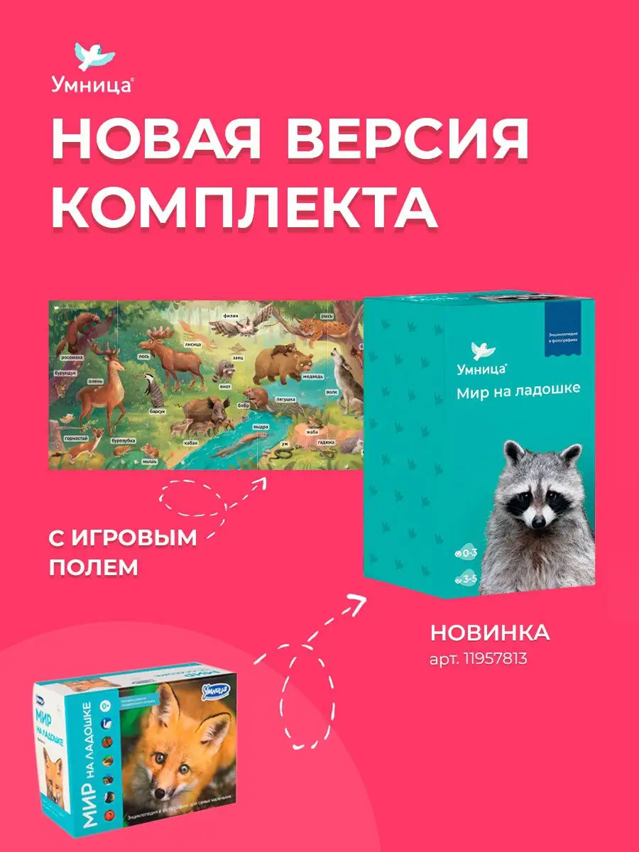 Детская энциклопедия. Карточки развивающие Мир на Ладошке Умница 2434375  купить в интернет-магазине Wildberries