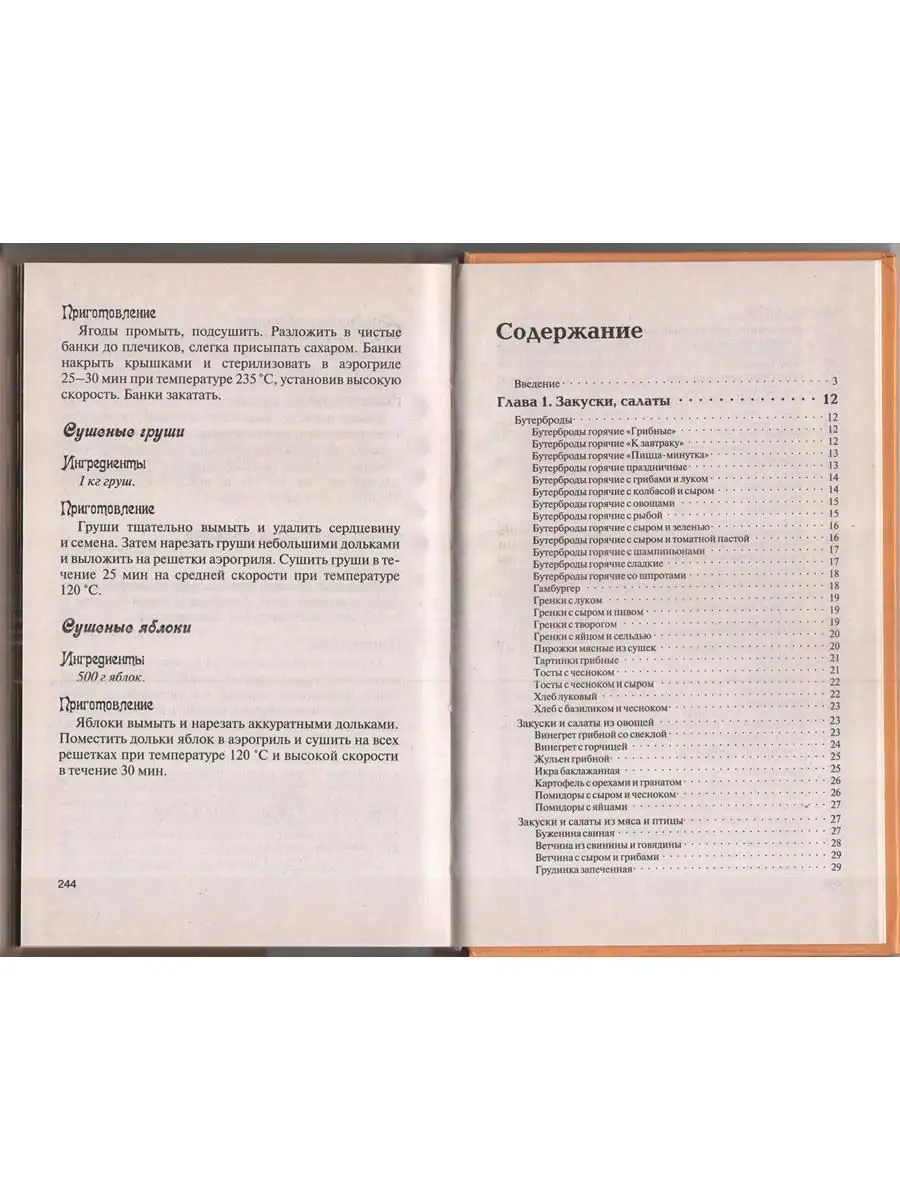 Готовим в аэрогриле. Лучшие рецепты блюд ИКТЦ Лада 2458518 купить в  интернет-магазине Wildberries