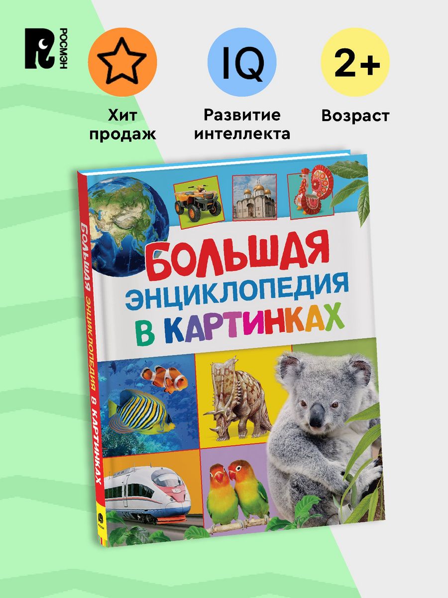 Большая энциклопедия в картинках. Раннее развитие малыша 2+ РОСМЭН 2470195  купить в интернет-магазине Wildberries