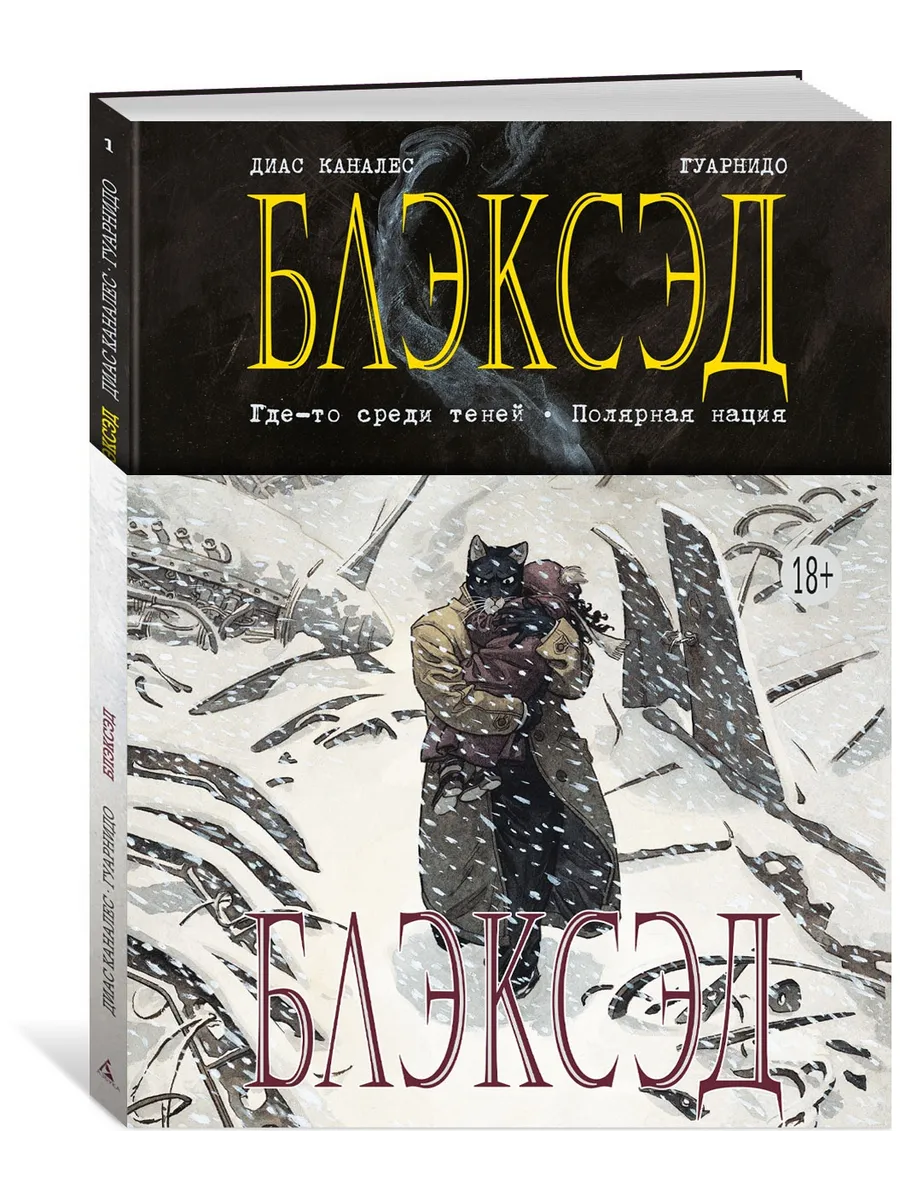 Блэксэд. Кн.1. Где-то среди теней. Поляр Азбука 2498914 купить за 1 238 ₽ в  интернет-магазине Wildberries