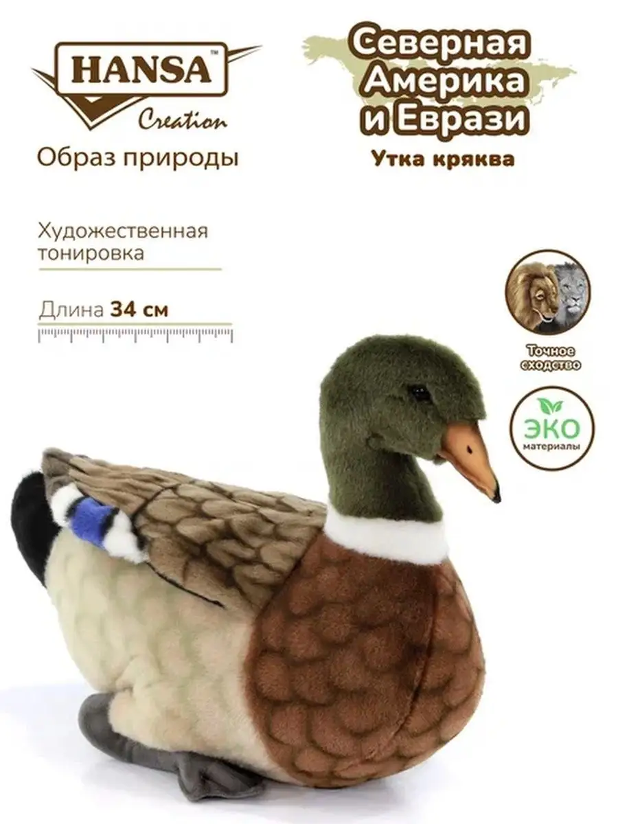 Реалистичная Мягкая игрушка Утка кряква, 34 см Hansa Creation 2506441  купить за 4 294 ₽ в интернет-магазине Wildberries