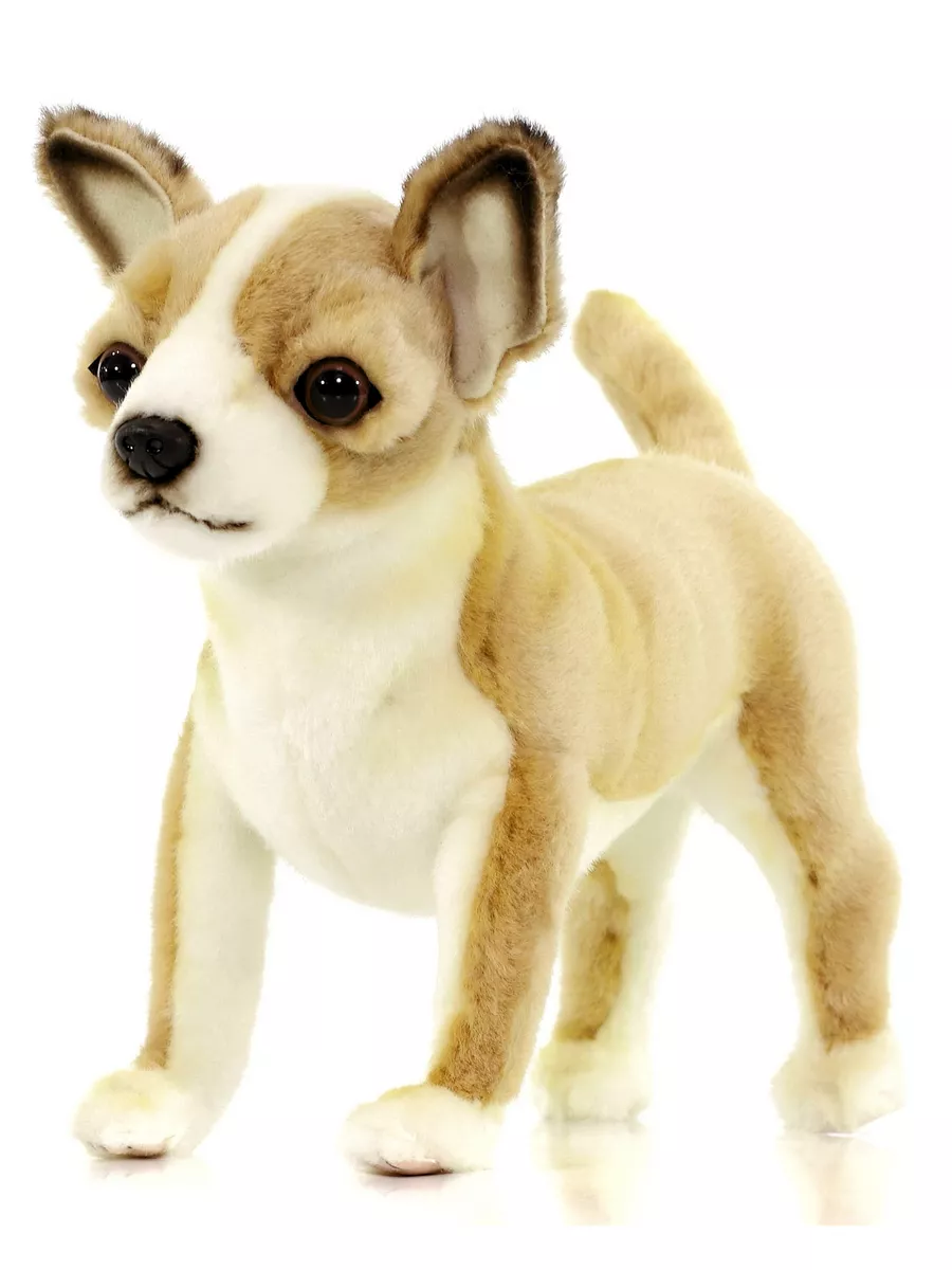 Toys Chihuahua онлайн | DHgate