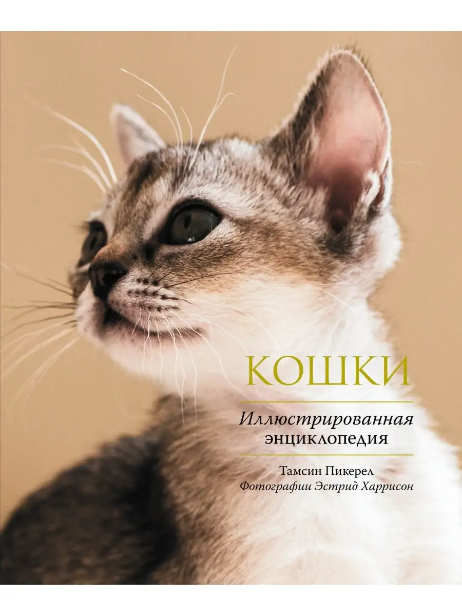 Кошки. Иллюстрированная энциклопедия Эксмо 2537853 купить за 1 317 ₽ в  интернет-магазине Wildberries