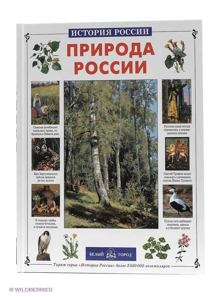 Природа России (твердый переплет/История России)