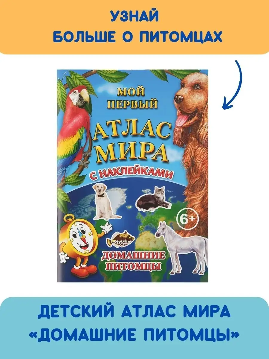 Атлас мира и наклейки для детей Домашние питомцы Бумбарам 2617478 купить за  432 ₽ в интернет-магазине Wildberries