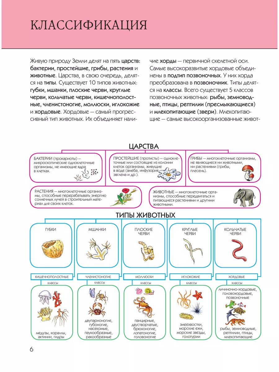 Животные. Полная энциклопедия Эксмо 2622463 купить за 958 ₽ в  интернет-магазине Wildberries