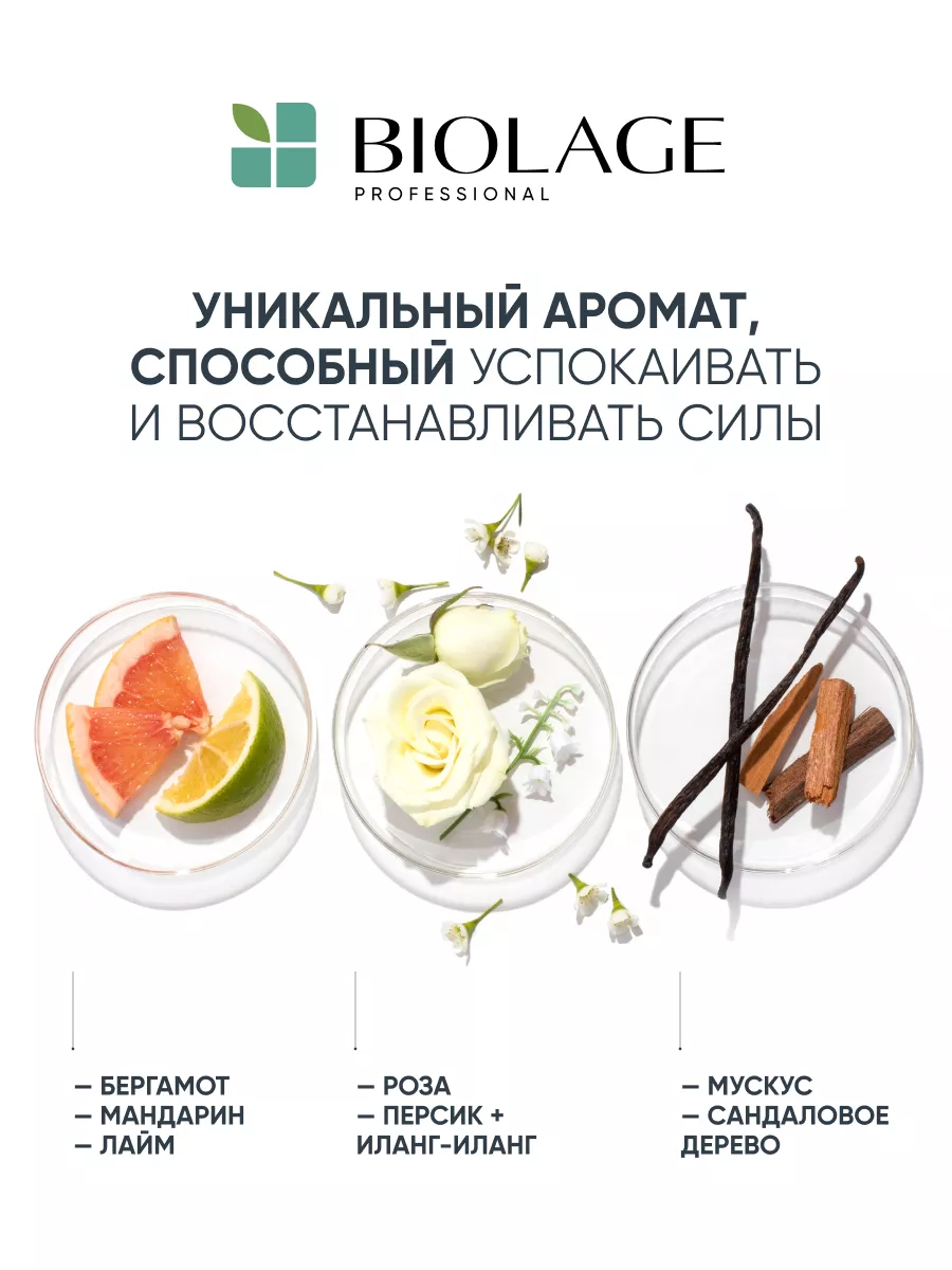 Сыворотка Scalp Sync против выпадения волос Pro-Aminexil Biolage 2750318  купить за 1 984 ₽ в интернет-магазине Wildberries