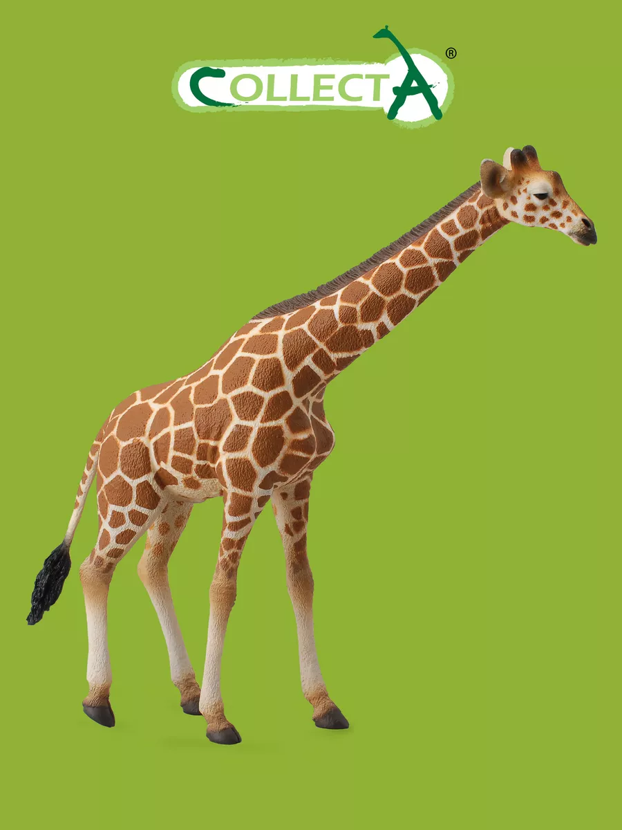 Пенопластовые жирафы на заказ