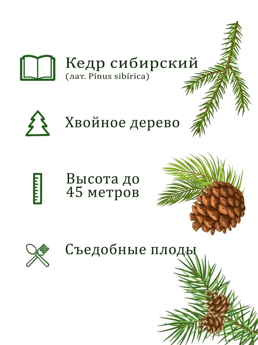 Набор для выращивания растений и цветов в горшке для дома Вырасти, Дерево!  3014191 купить за 360 ₽ в интернет-магазине Wildberries