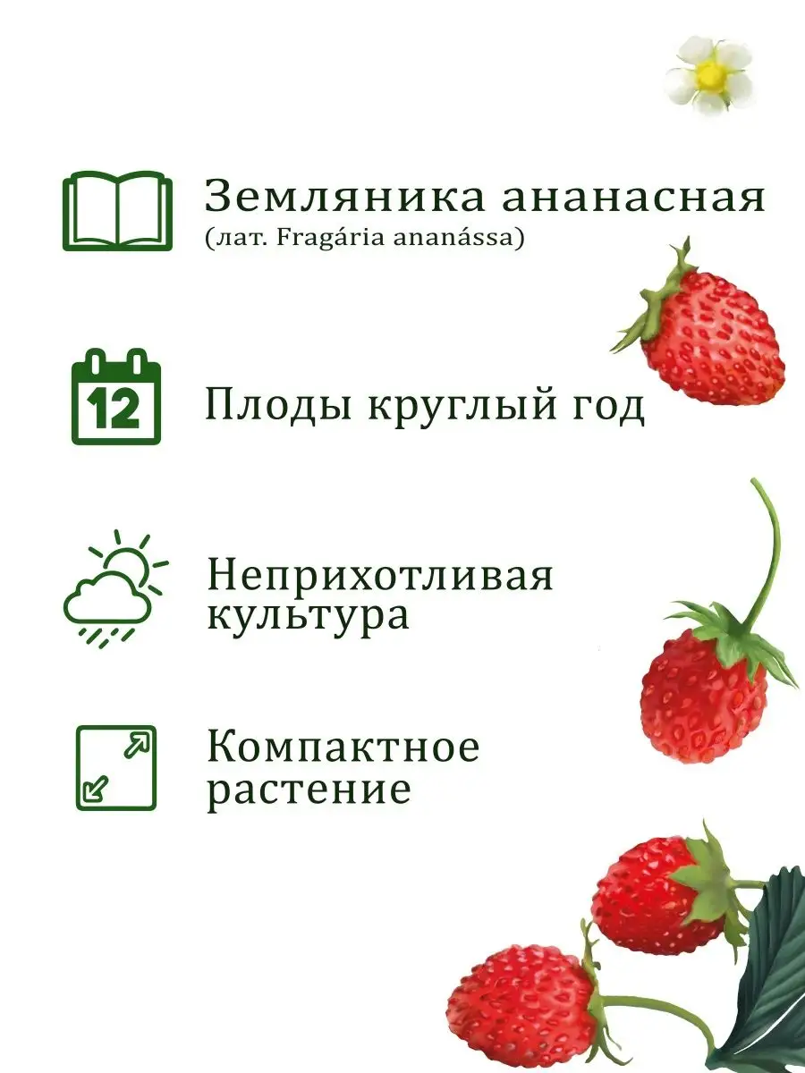 Набор для выращивания растений и цветов в горшке для дома Вырасти, Дерево!  3014213 купить за 360 ₽ в интернет-магазине Wildberries