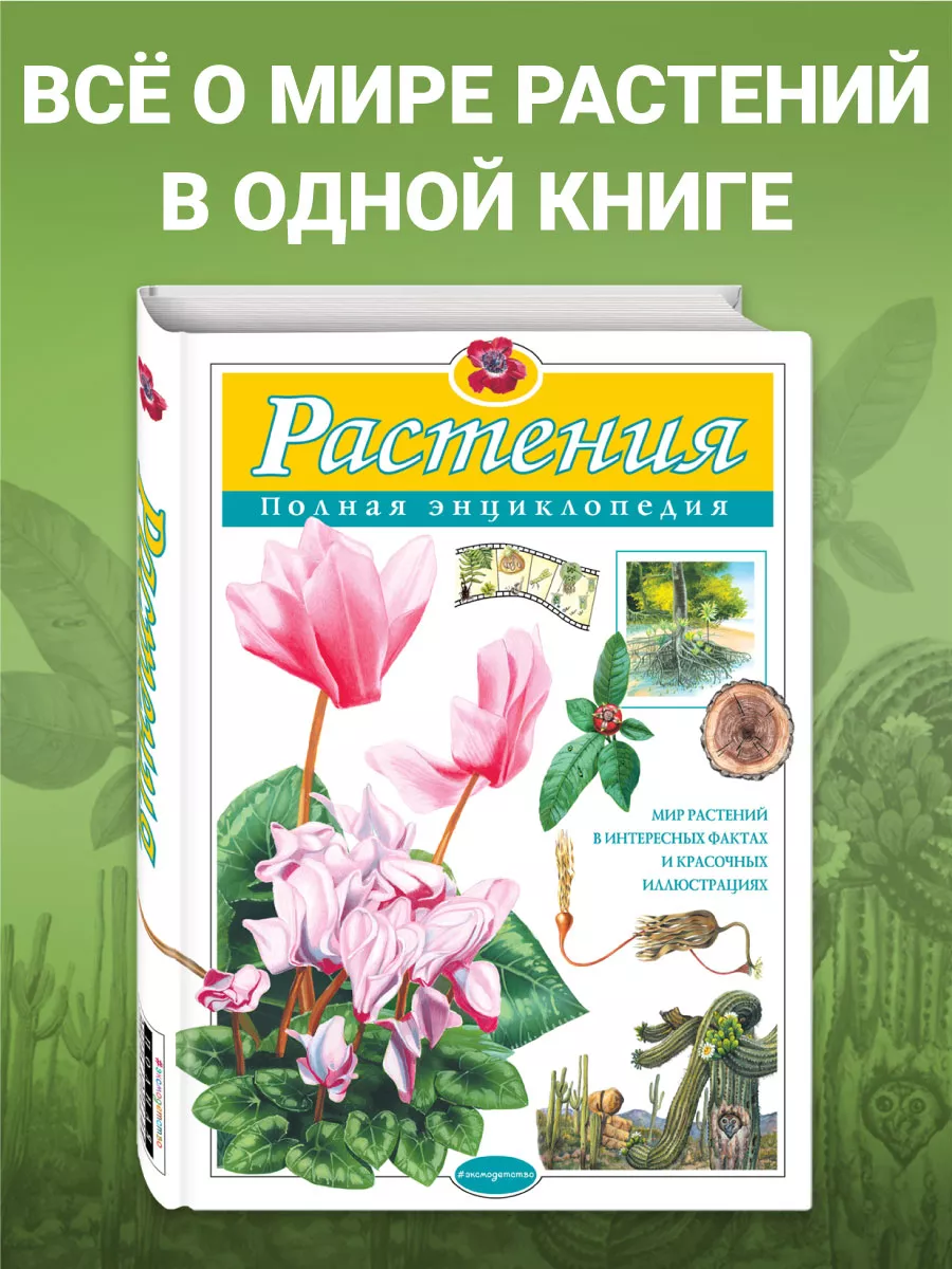 Растения. Полная энциклопедия Эксмо 3111980 купить за 821 ₽ в  интернет-магазине Wildberries