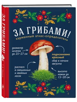 За грибами. Карманный атлас-определитель Эксмо 3111982 купить за 319 ₽ в интернет-магазине Wildberries