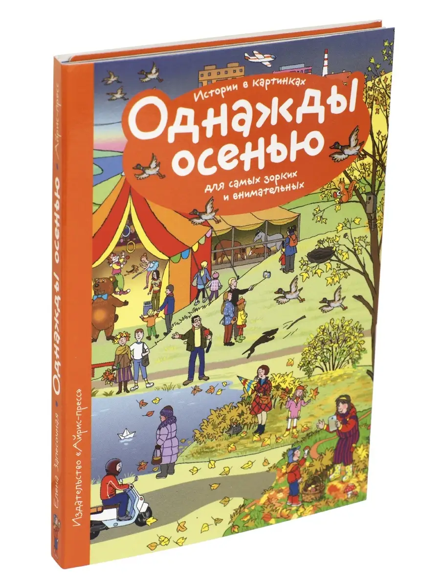 Рассказы по картинкам. 4 книги в комплекте. АЙРИС-пресс 3217703 купить в  интернет-магазине Wildberries