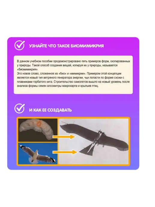 Bondibon Наборы для опытов Биомимикрия, голубой, фото 3