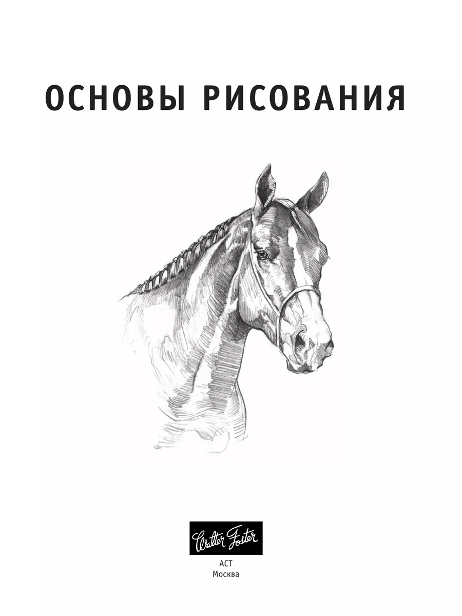 Основы рисования Издательство АСТ 3435774 купить за 486 ₽ в  интернет-магазине Wildberries