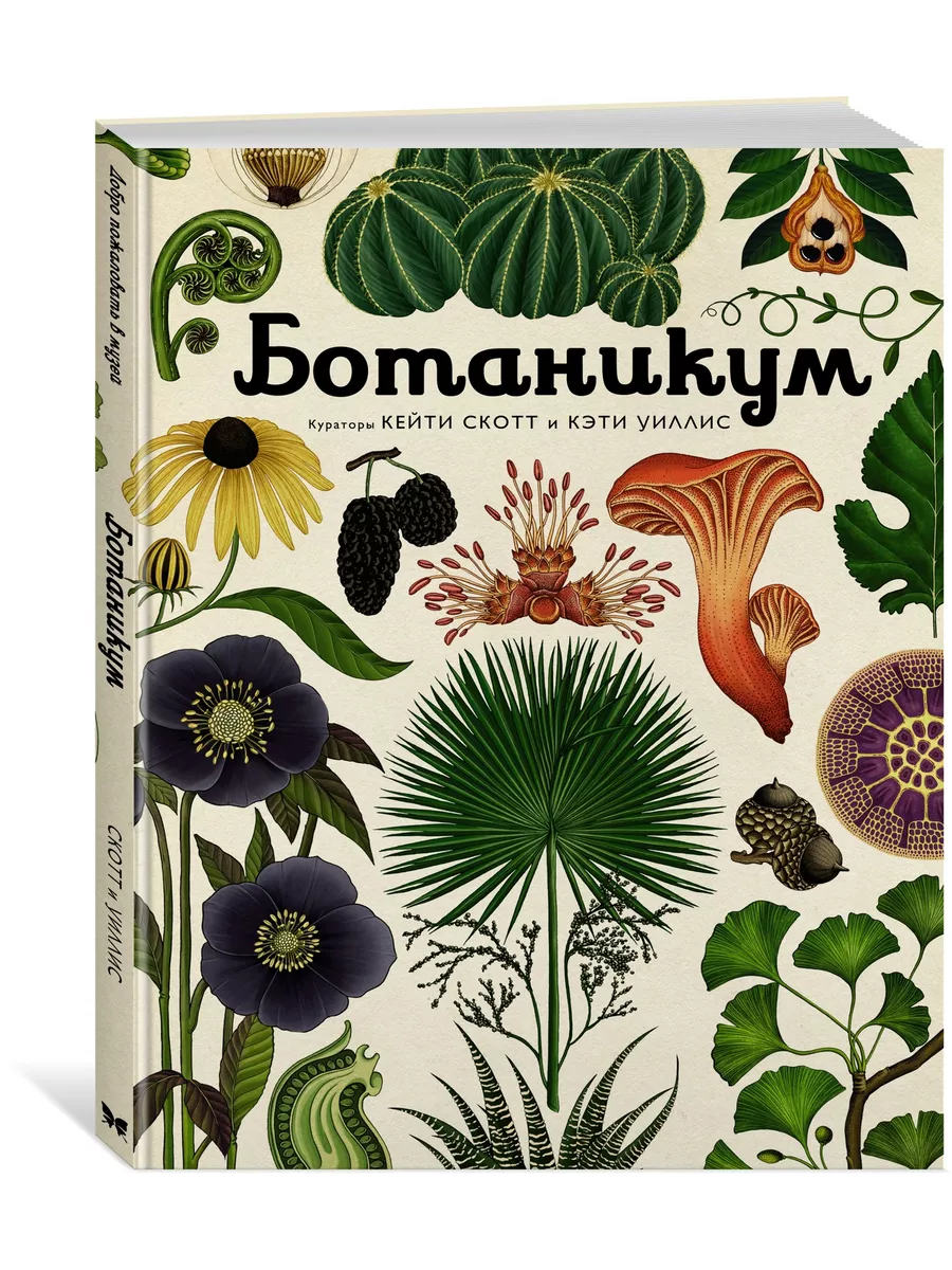 Ботаникум Издательство Махаон 3438074 купить за 1 111 ₽ в интернет-магазине  Wildberries