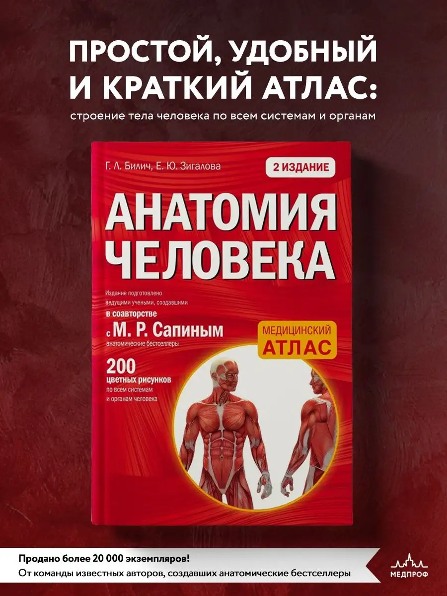 МЕДПРОФ / Анатомия человека: 2 издание Эксмо 3498929 купить за 527 ₽ в  интернет-магазине Wildberries