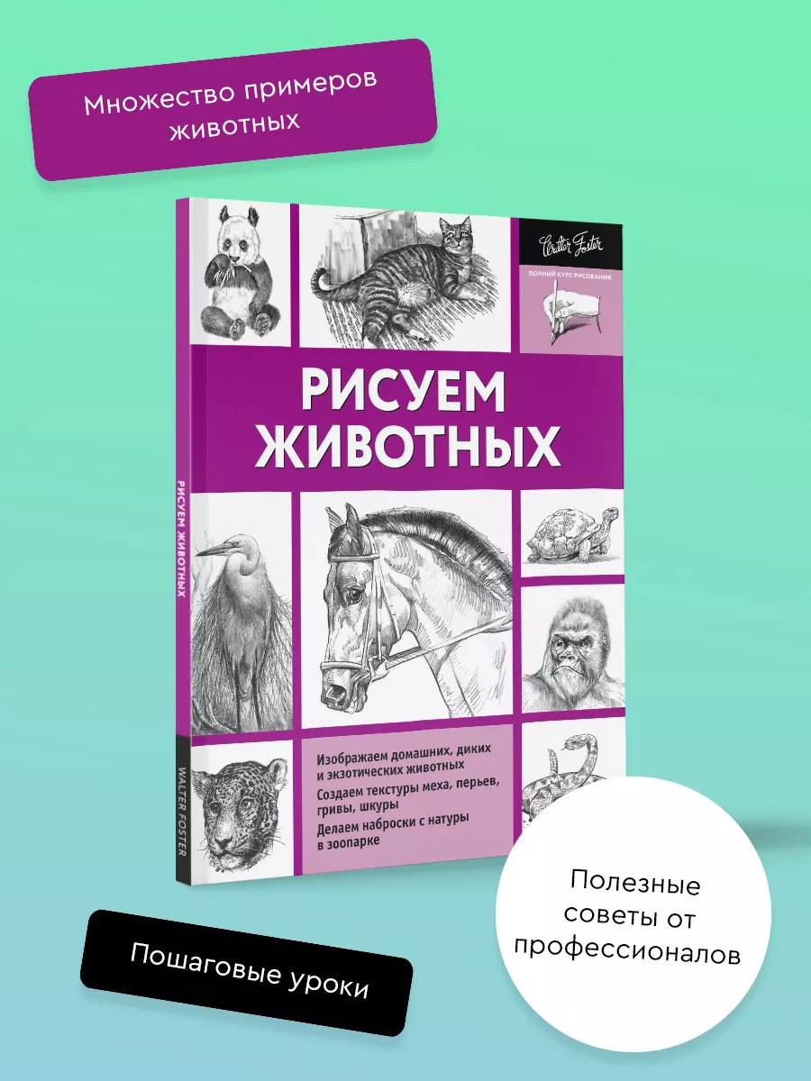 Рисуем животных Издательство АСТ 3508104 купить за 402 ₽ в  интернет-магазине Wildberries