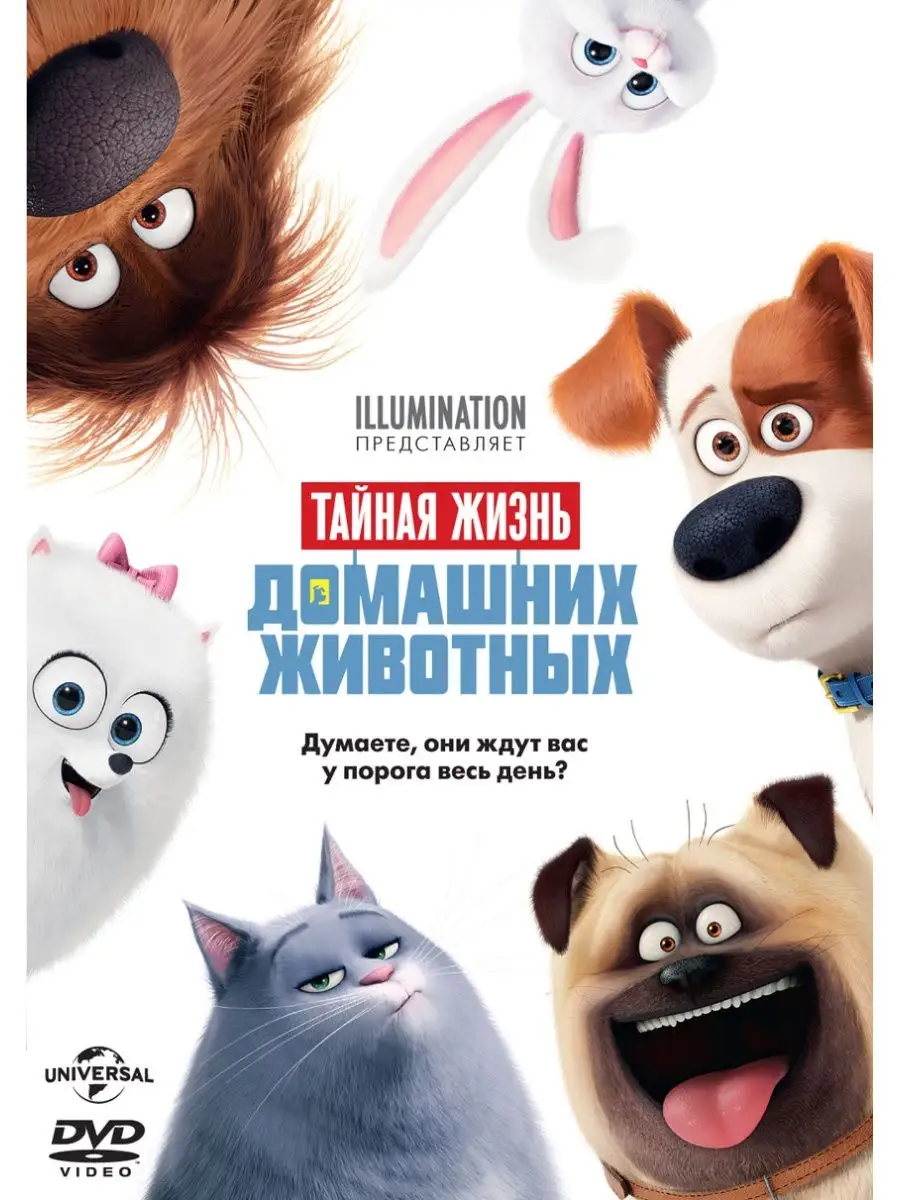 Тайная жизнь домашних животных (м/ф) DVD НД Плэй 3518630 купить за 299 ₽ в  интернет-магазине Wildberries