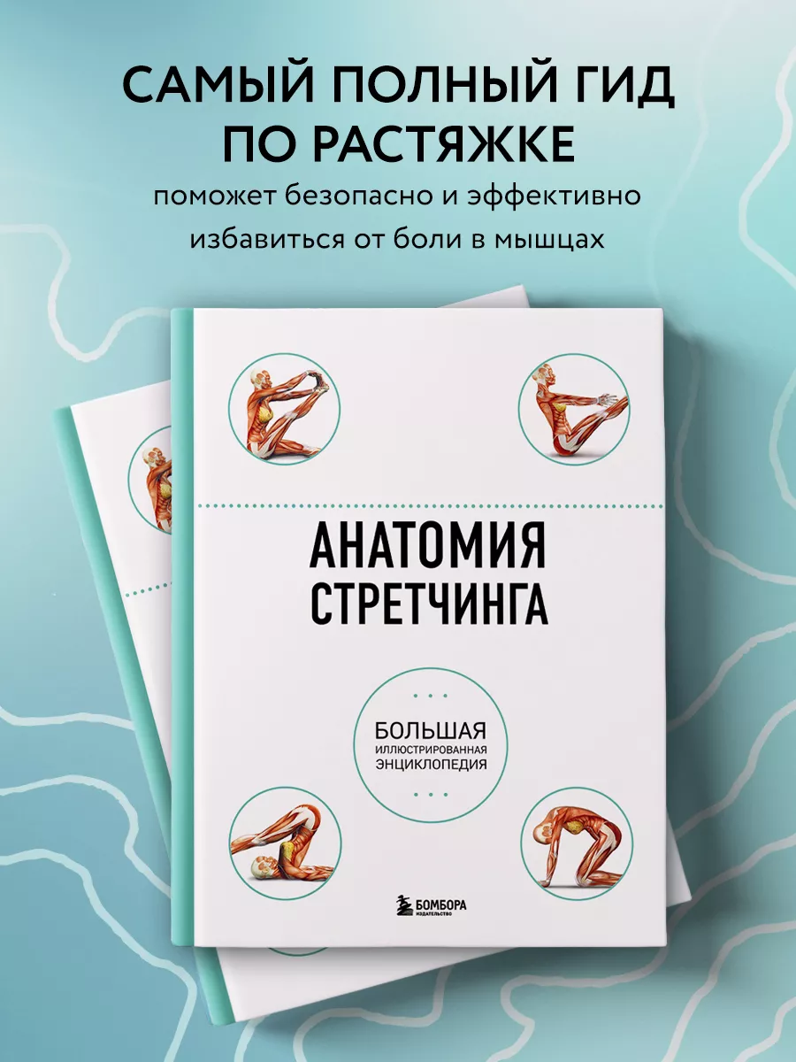 Анатомия стретчинга. Большая иллюстрированная энциклопедия Эксмо 3557215  купить за 1 195 ₽ в интернет-магазине Wildberries