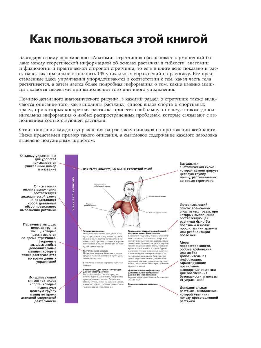 Анатомия стретчинга. Большая иллюстрированная энциклопедия Эксмо 3557215  купить за 1 349 ₽ в интернет-магазине Wildberries