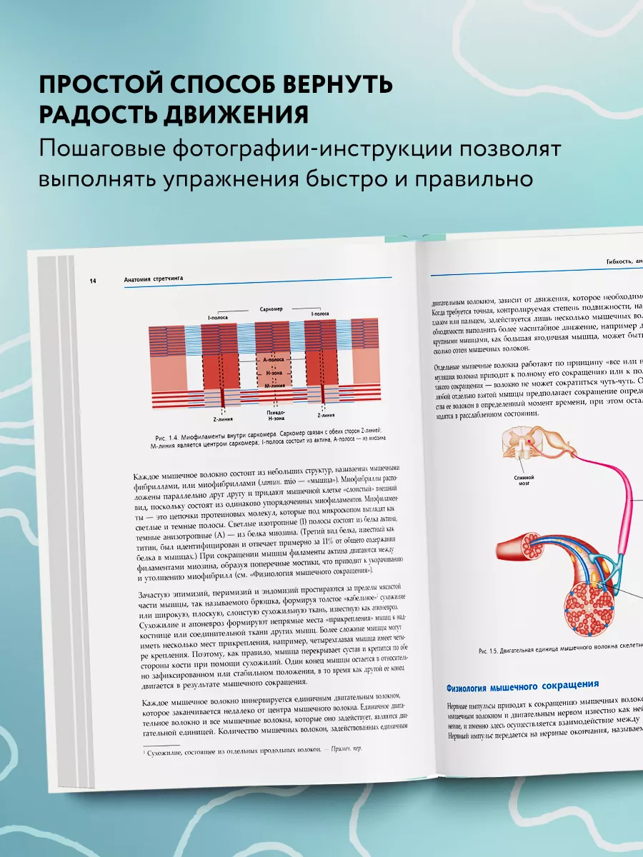 Анатомия стретчинга. Большая иллюстрированная энциклопедия Эксмо 3557215  купить за 1 102 ₽ в интернет-магазине Wildberries