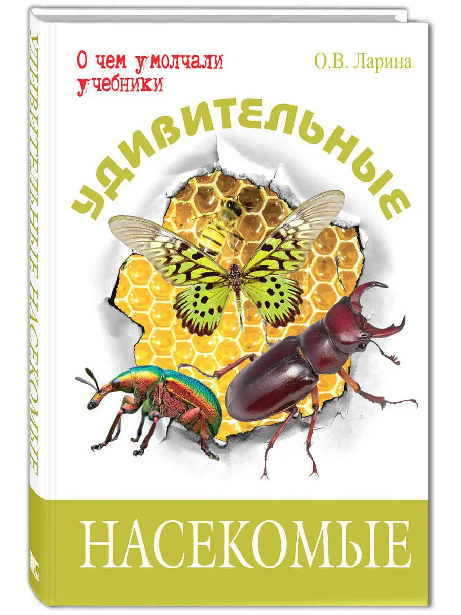 Удивительные насекомые Энас-Книга 3624013 купить в интернет-магазине  Wildberries