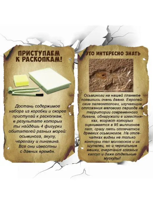 Bondibon Набор для опытов Раскопки для детей Тайны морей, белый, фото 4