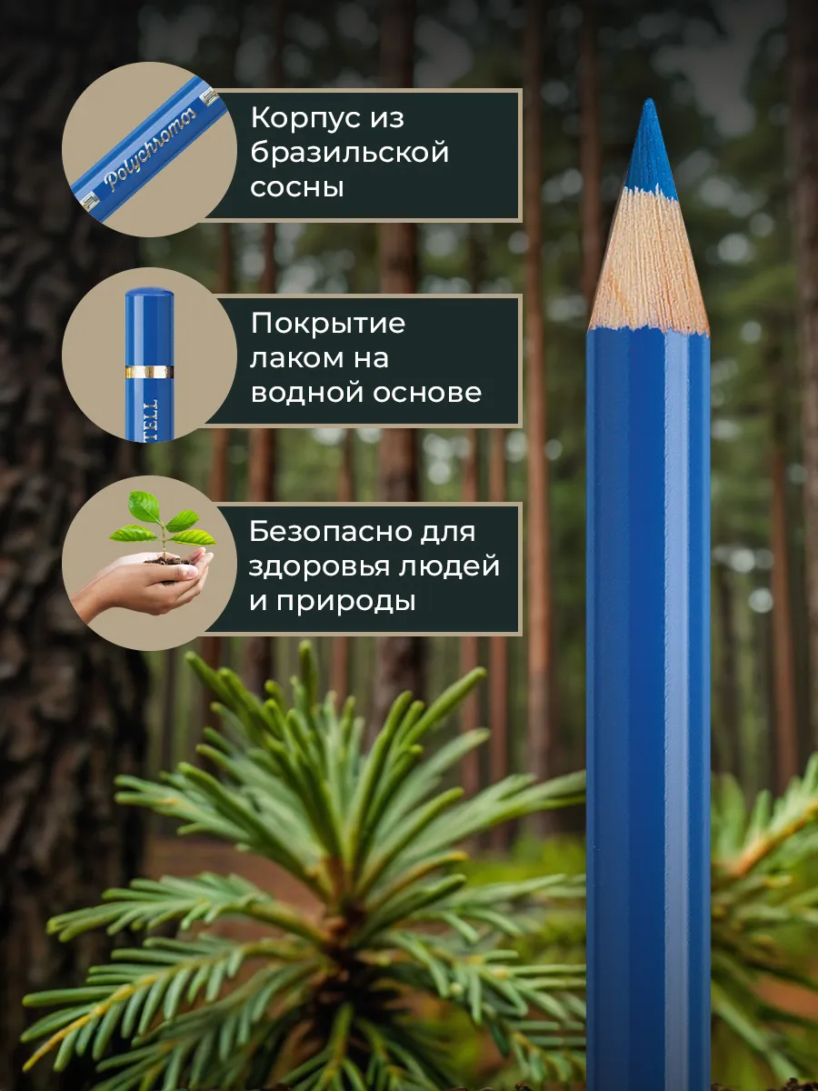 Карандаши для рисования профессиональные Polychromos 24 цв Faber-Castell  3865376 купить за 4 863 ₽ в интернет-магазине Wildberries