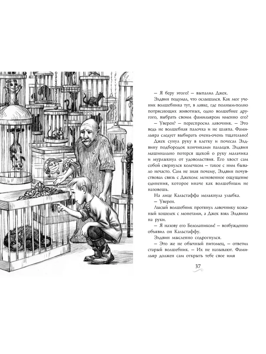 Фамильяры. Книга 1. Трое против ведьмы Азбука 3922413 купить за 400 ₽ в  интернет-магазине Wildberries