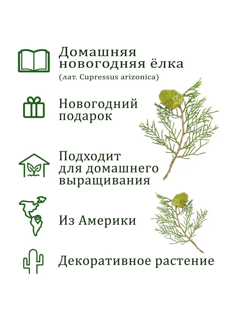 Набор для выращивания растений и цветов в горшке для дома Вырасти, Дерево!  3943858 купить за 360 ₽ в интернет-магазине Wildberries