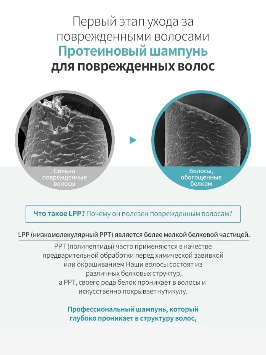 Шампунь для волос бессульфатный с креатином, 530мл Lador 3949818 купить за  1 023 ₽ в интернет-магазине Wildberries