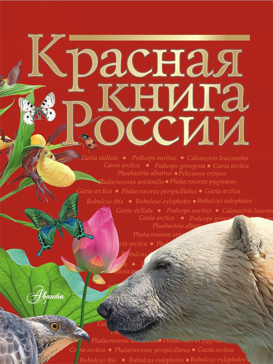 Красная книга России Издательство АСТ 4126572 купить за 1 152 ₽ в  интернет-магазине Wildberries