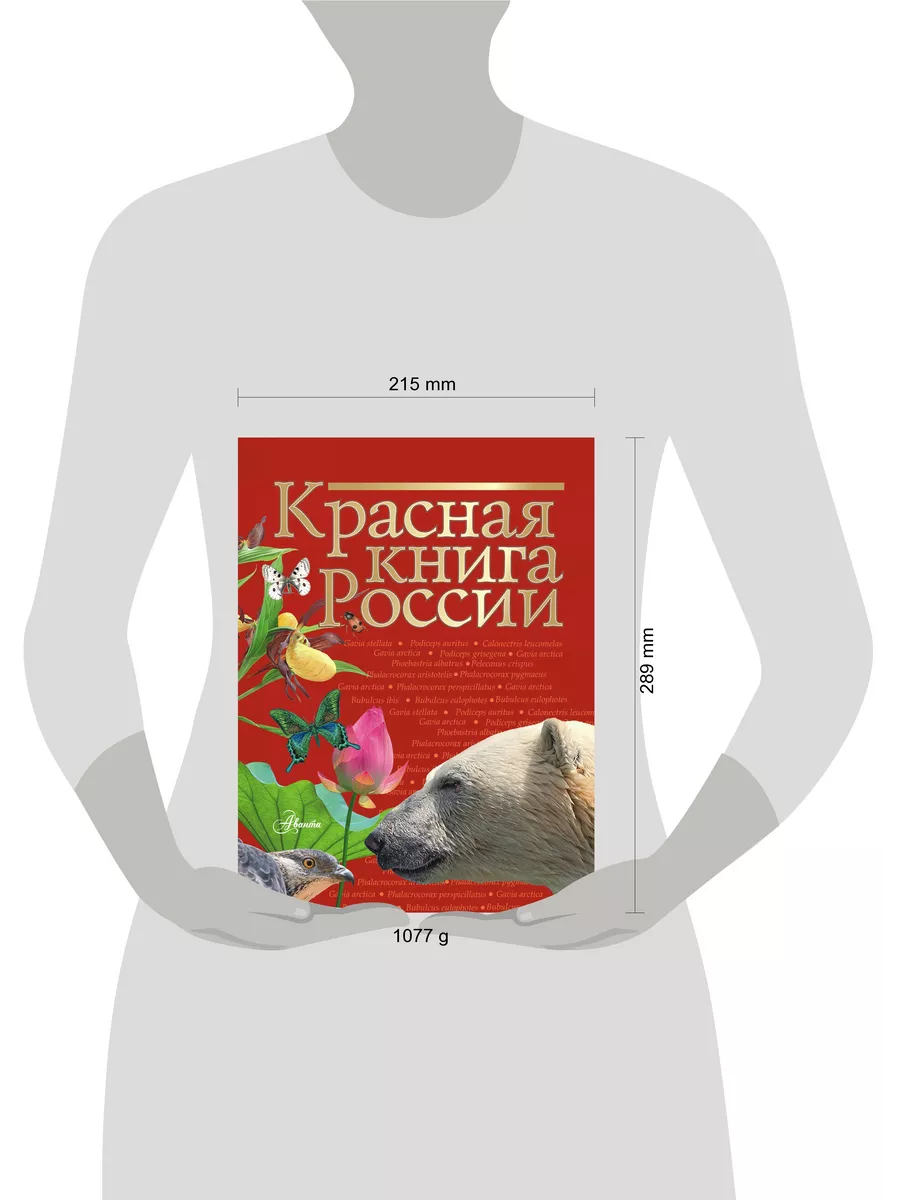 Красная книга России Издательство АСТ 4126572 купить за 1 311 ₽ в  интернет-магазине Wildberries