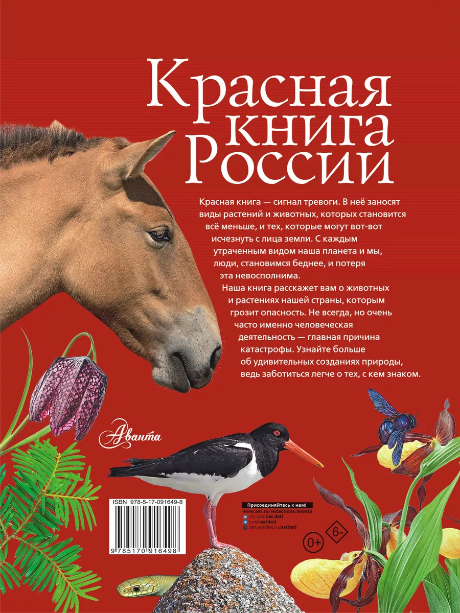 Красная книга России Издательство АСТ 4126572 купить за 1 311 ₽ в  интернет-магазине Wildberries