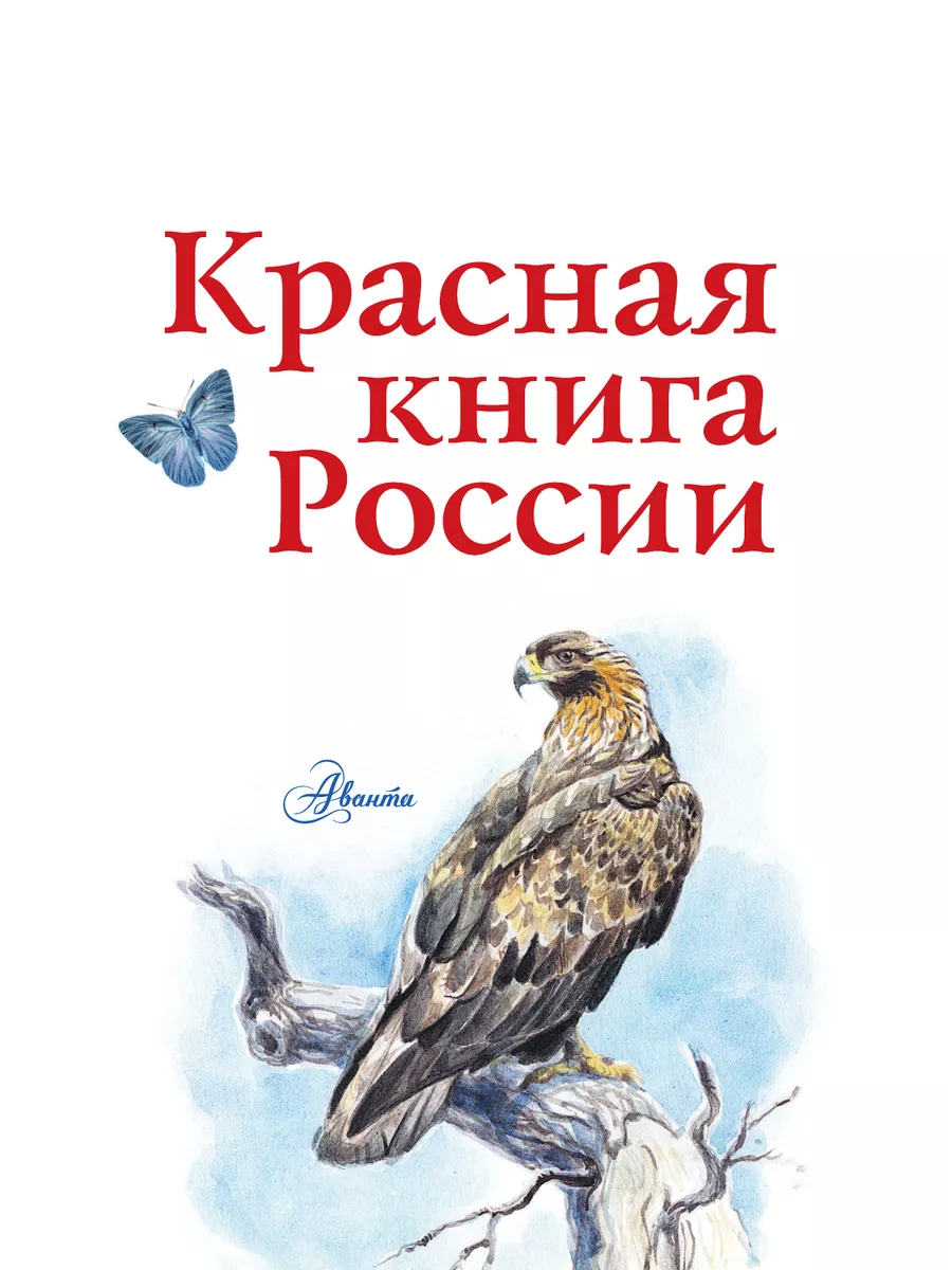 Красная книга России Издательство АСТ 4126572 купить за 1 311 ₽ в  интернет-магазине Wildberries