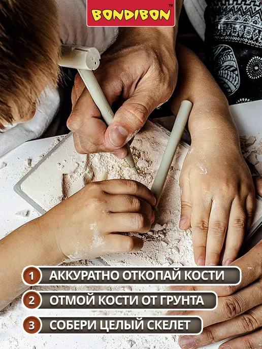 Bondibon Исторические раскопки Динозавр Трицератопс, красный, фото 2