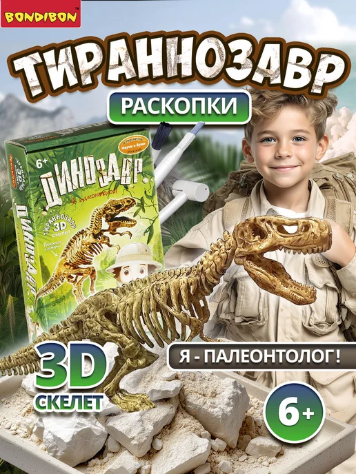 Bondibon Раскопки динозавров 3D скелет, зеленый