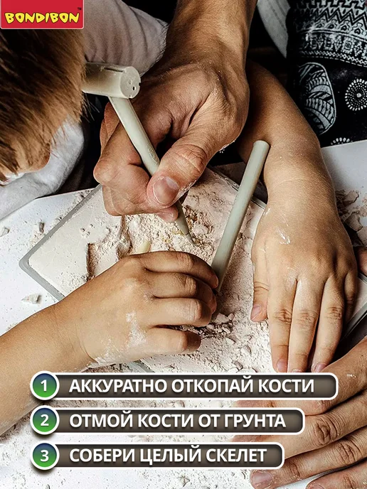 Bondibon Раскопки динозавров 3D скелет, зеленый, фото 2