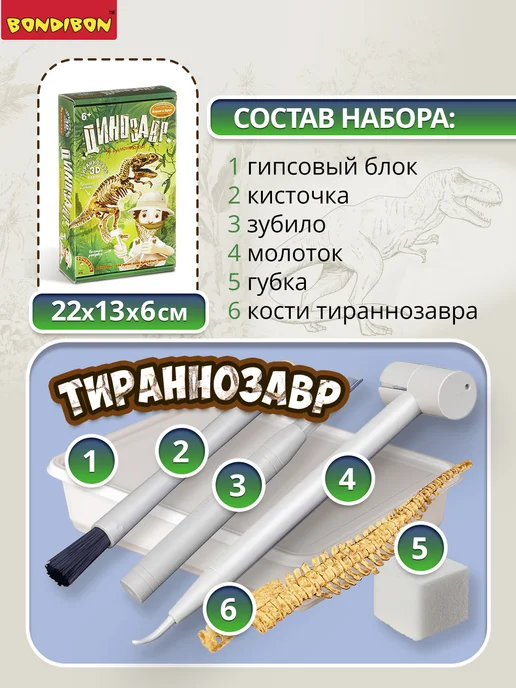 Bondibon Раскопки динозавров 3D скелет, зеленый, фото 3