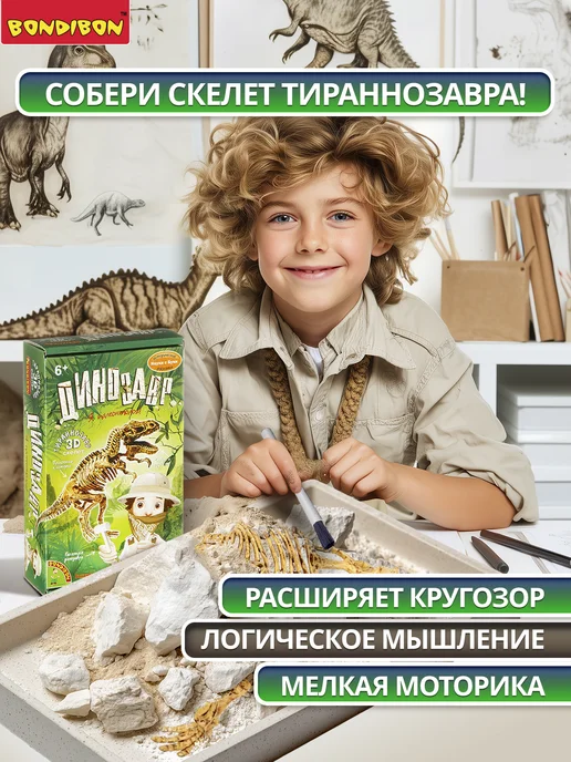 Bondibon Раскопки динозавров 3D скелет, зеленый, фото 4
