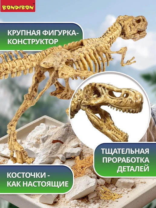 Bondibon Раскопки динозавров 3D скелет, зеленый, фото 5