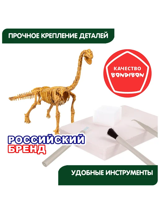 Bondibon Раскопки для детей Динозавр 3D скелет, белый, фото 6