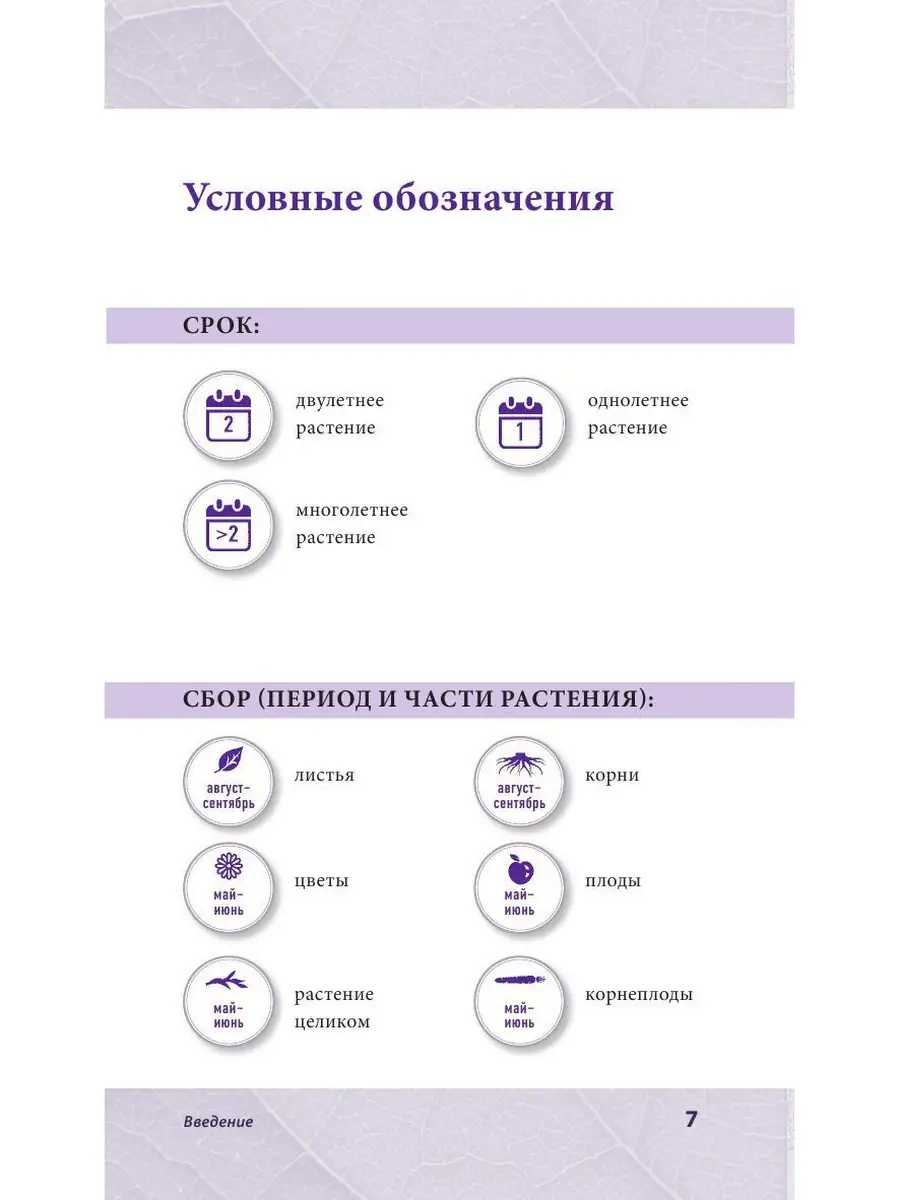 Лечебные травы. Иллюстрированный справочник-определитель Эксмо 4175572  купить за 640 ₽ в интернет-магазине Wildberries