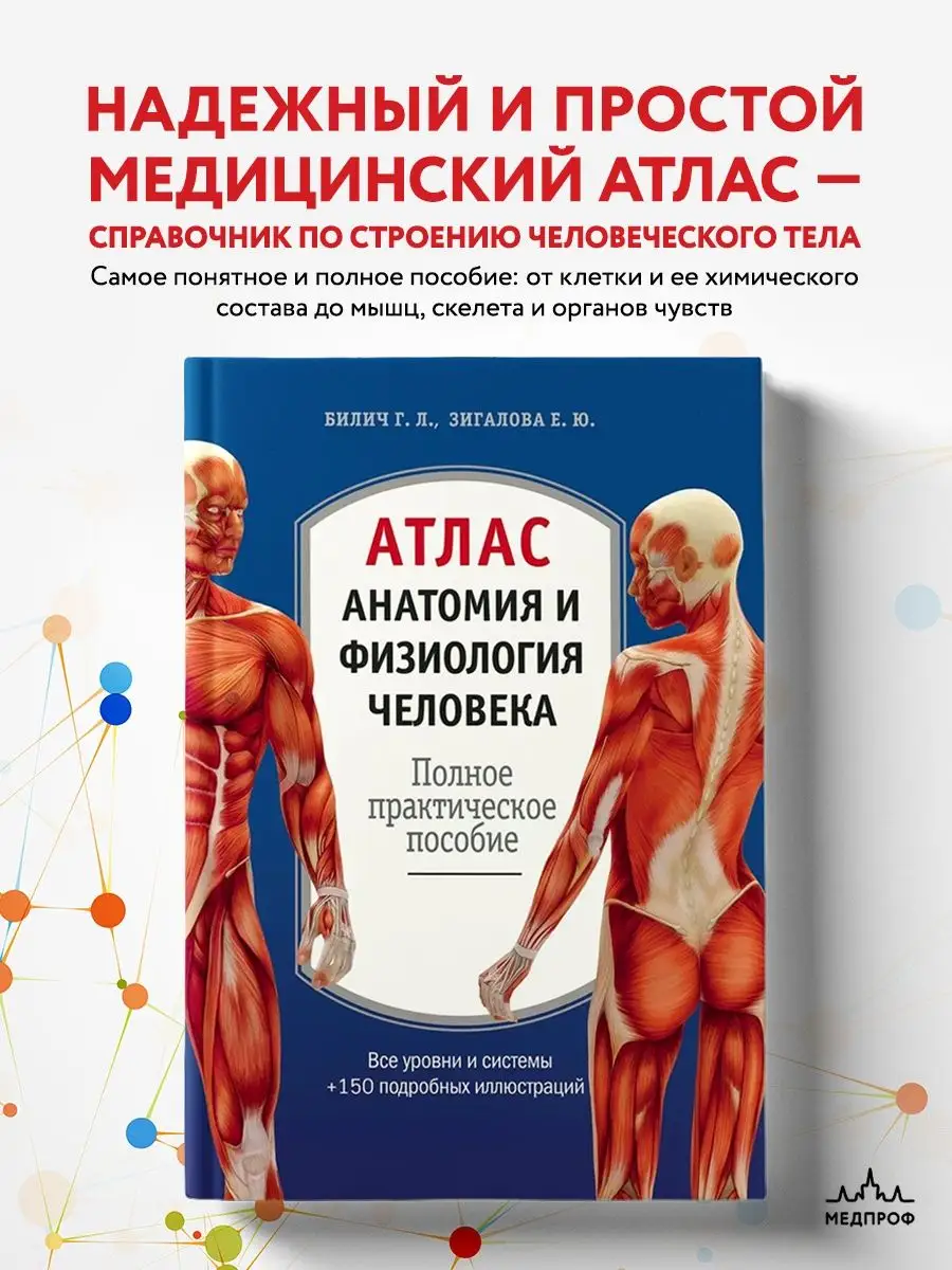 МЕДПРОФ / Атлас. Анатомия и физиология человека Эксмо 4227778 купить за 546  ₽ в интернет-магазине Wildberries