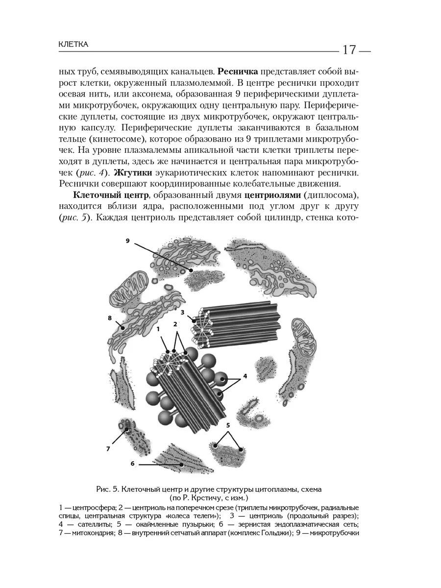 МЕДПРОФ / Атлас. Анатомия и физиология человека Эксмо 4227778 купить за 627  ₽ в интернет-магазине Wildberries