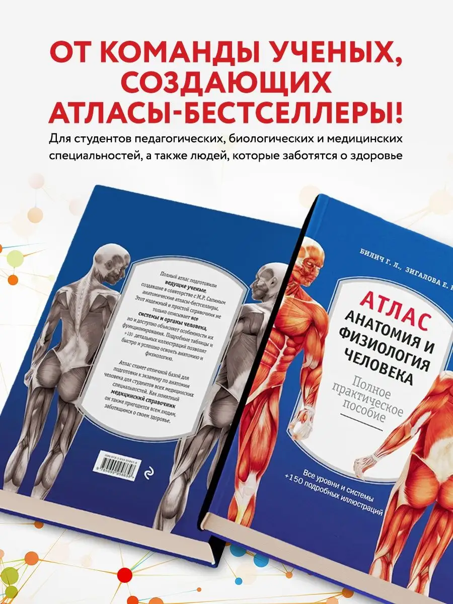 МЕДПРОФ / Атлас. Анатомия и физиология человека Эксмо 4227778 купить за 598  ₽ в интернет-магазине Wildberries