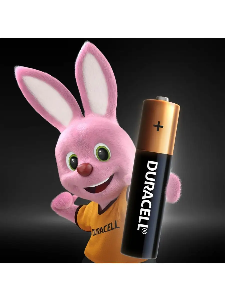 Батарейки LR03-8BL BASIC 8 шт. DURACELL 4246571 купить в интернет-магазине  Wildberries