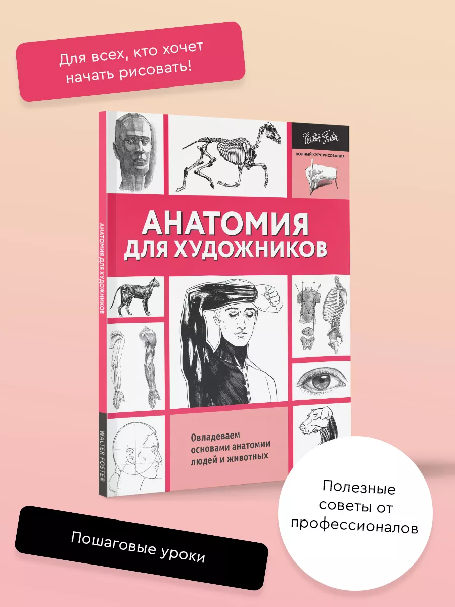 Анатомия для художников Издательство АСТ 4373914 купить за 503 ₽ в  интернет-магазине Wildberries