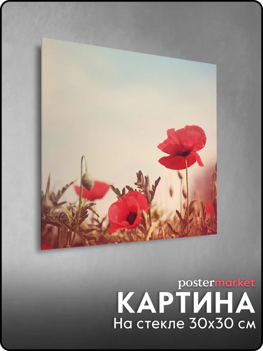 Postermarket Картина на стекле "Маки" 30х30 см